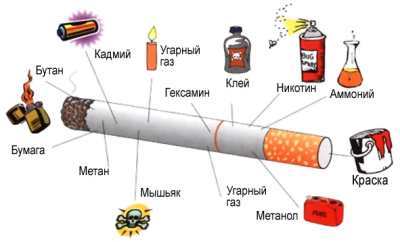 из чего состоят сигареты